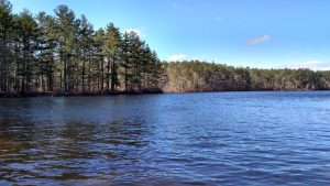 Beach Pond