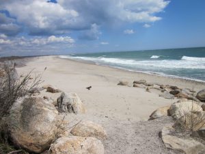 Beach Picture