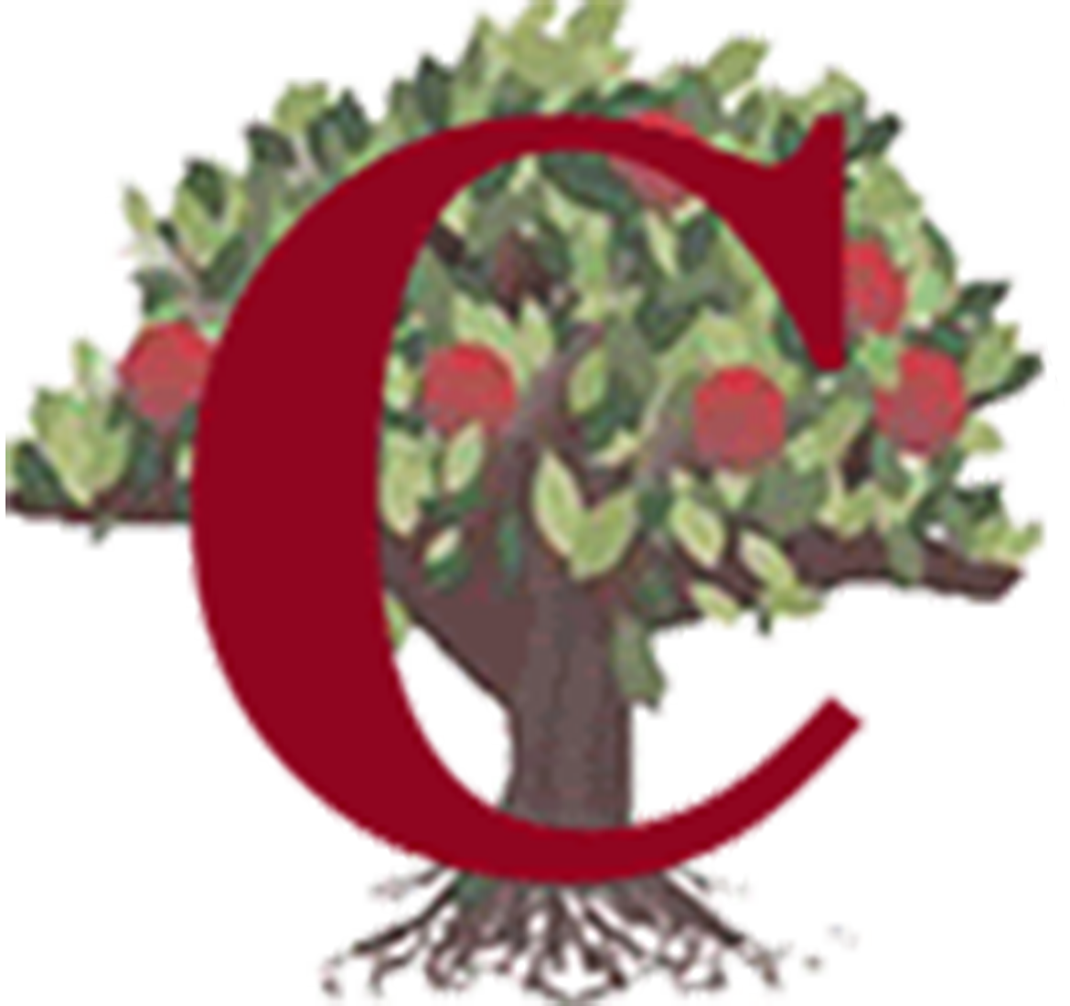 coventry schools district logo
